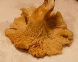 A picture of step 1 of Fluffy Omelette with Chanterelle Pilaf & Cream Sauce.