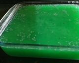 A picture of step 12 of Kiwi Agar agar.