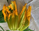 Foto del passaggio 1 della ricetta Fiori di zucca fritti