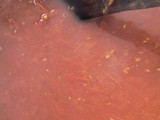 Dulce de rosa mosqueta