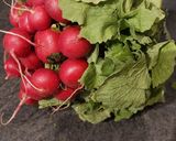 Une image de l'étape 1 de Gaspacho de radis et son velouté de fanes.