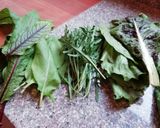 Foto del paso 1 de la receta: Ensalada de mi jardín