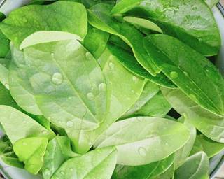 Cendol Cincau Hijau (Daluman) - Step 1