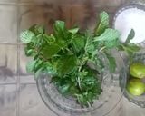 पुदीना और नींबू का शरबत (pudina aur nimbu ka sharbat recipe in Hindi) रेसिपी चरण 2 फोटो
