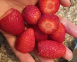 Foto del paso 1 de la receta: Daiquiri de frutilla