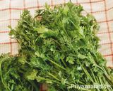 A picture of step 1 of Coriander Garlic Chutney.