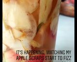 A picture of step 4 of Apple cider vinegar (from apple cores).