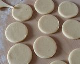 A picture of step 5 of Vickys 'Put The Lime In The Coconut' Cookies, GF DF EF SF NF.