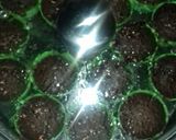 Foto langkah ke 6 dari resep Brownies kukus putih telur.