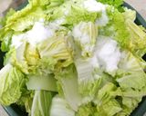 Foto langkah ke 1 dari resep Kimchi Instan.