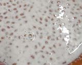 A picture of step 4 of Halim kheer(garden cress seeds).