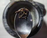 Foto del paso 4 de la receta: Garam Masala