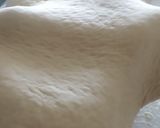 Foto del paso 10 de la receta: Pizza