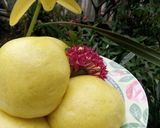 Foto langkah ke 8 dari resep Bakpau Isi Kacang.