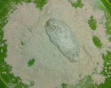 A picture of step 4 of Yam stick.
