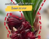 รูปขั้นตอนการทำที่ 1 ของ สูตรน้ำสมุนไพรลดไขมัน อ้วน