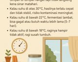 Foto langkah ke 12 dari resep Sourdough Starter (Ragi Alami) dari Yeast Water Buah - Anti Gagal dan Cepat.