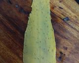 A picture of step 4 of Fafada-Kadhi with Grated Raw Papaya.
