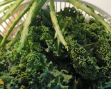 A picture of step 1 of Alio Olio Kale.