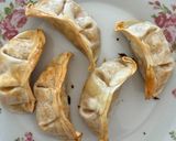 Foto do passo 8 de Guioza de legumes caseiro na air fryer