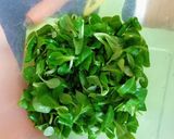 Salat aus Möhre Frühlingszwiebel und Feldsalat Rezeptschritt 3 Foto