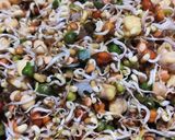 A picture of step 1 of Mix sprout Falafal.