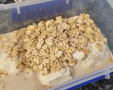 รูปขั้นตอนการทำที่ 1 ของ Oat meal สูตร Apple Cinnamon อาหารเช้าโลว์คาร์บ