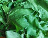 A picture of step 1 of Raddish leaves chutney.