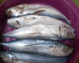 Foto langkah ke 1 dari resep Bajabu Khas Bugis Pinrang.