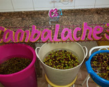 Foto del paso 3 de la receta: Aceitunas al estilo campo real (la recolección)