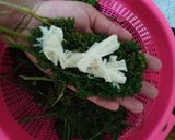 Foto del paso 1 de la receta: Molotitos de huauzontle