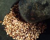 Foto langkah ke 3 dari resep Konro khas Makassar.