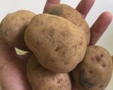 Foto langkah ke 1 dari resep Potato cheese balls combo.