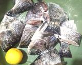 Foto langkah ke 1 dari resep Pesmol ikan mujair.
