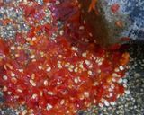 Foto langkah ke 2 dari resep Sambal Dadak Terong.