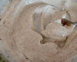 Foto del paso 2 de la receta: Pollo especiado con salsa de yogur y miel