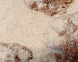 Vega fasírt gombócok friss zöldségekkel recept fázis 2 fotója