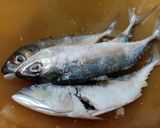 Foto langkah ke 1 dari resep Ikan Bakar Kecap : Super Simple dengan 4 bumbu !.