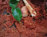Foto langkah ke 4 dari resep Santan Gori campur Babat.
