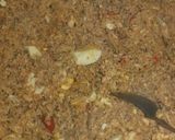 Foto del paso 4 de la receta: Empanadas de pollo