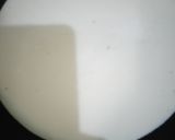 Foto langkah ke 2 dari resep Selai Sarikaya Original.