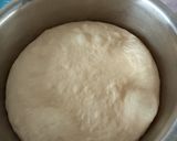 Foto langkah ke 3 dari resep Turkish bread (ekmek).