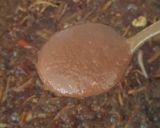 A picture of step 9 of Fish in Tamarind Sauce.