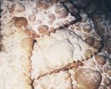 Foto del passaggio 3 della ricetta Chiacchiere