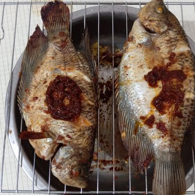 Langkah 8