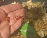 Foto del paso 3 de la receta: 🍆Berenjenas rellenas de espinacas🌿 y atún 🐟