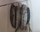 Foto langkah ke 1 dari resep Pindang Tongkol, Terong Tumis Cabe Hijau Ale.