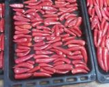 صورة لخطوة 1 من وصفة الهريسة العربية على الطريقة الليبية😋
