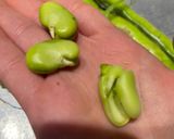 A picture of step 2 of Broad beans snack (fava beans).
