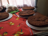 Bizcochuelo alto esponjoso de chocolate para hacer torta
